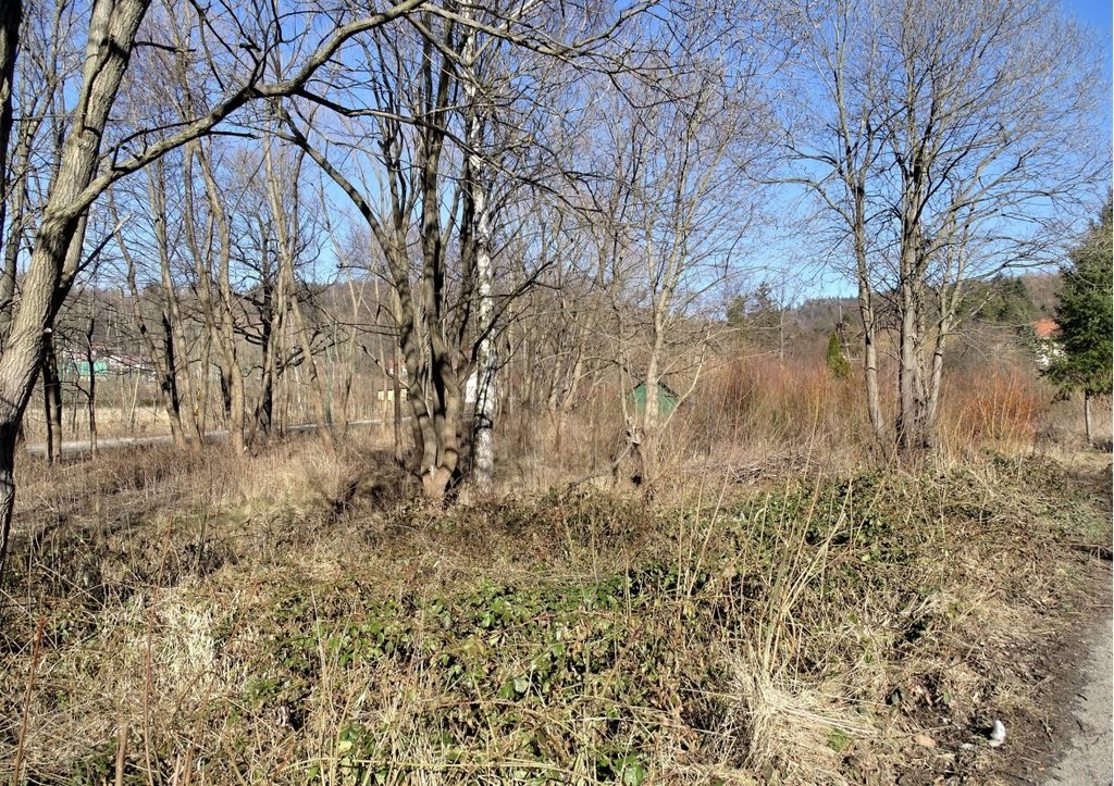 Działka budowlana na sprzedaż Kowary, Jagiellońska  1 370m2 Foto 2