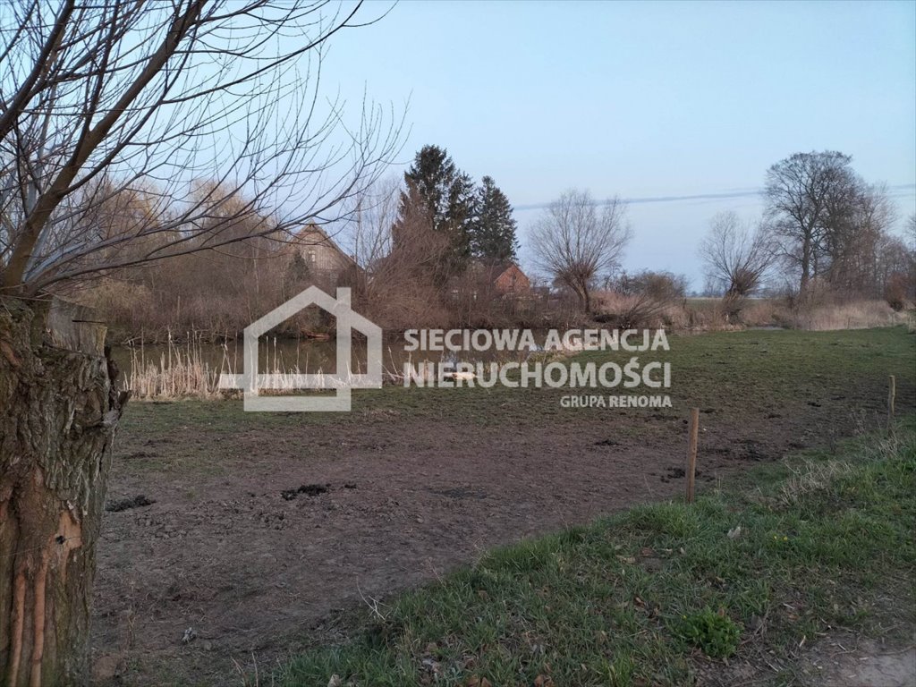 Działka rolna na sprzedaż Chorążówka  5 000m2 Foto 4