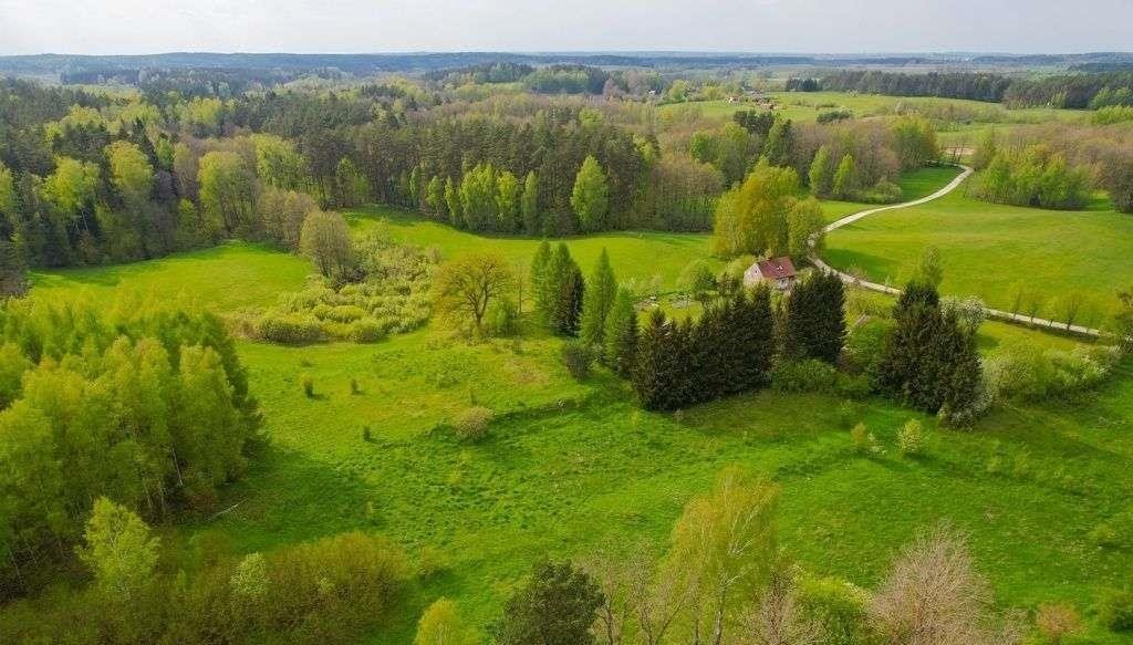 Działka rolna na sprzedaż Jakubowo  3 500m2 Foto 14