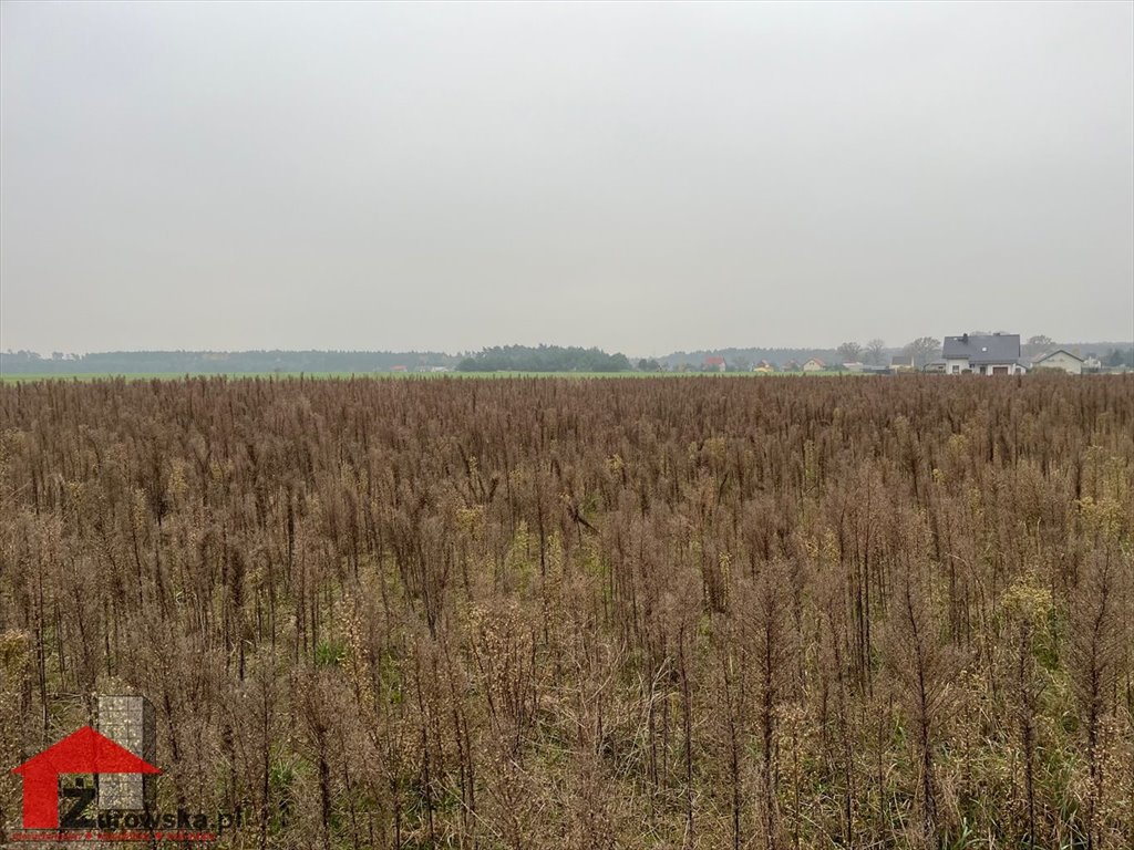 Działka budowlana na sprzedaż Centawa  1 200m2 Foto 2