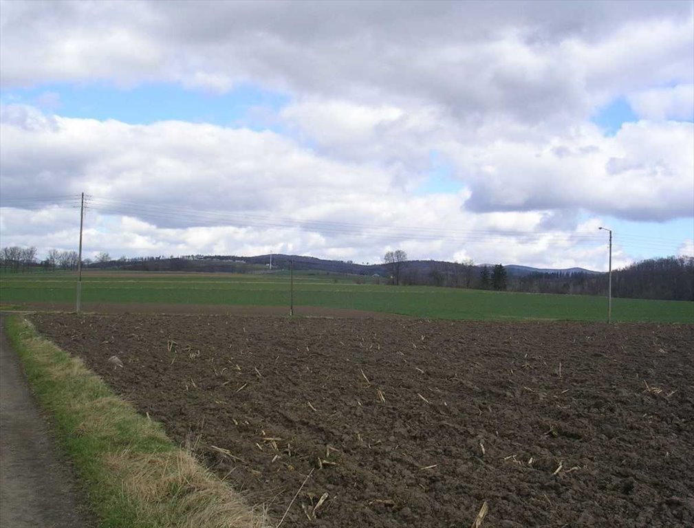 Działka inna na sprzedaż Kłodzko  10 600m2 Foto 2