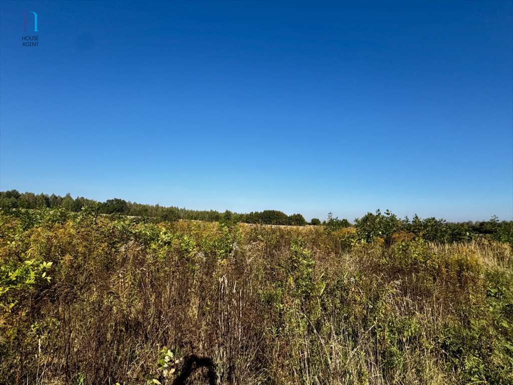 Polecam działkę usługowo-rekreacyjną 18 246 m² w Starym Imielniku Stary Imielnik  18 246m2 Foto 1