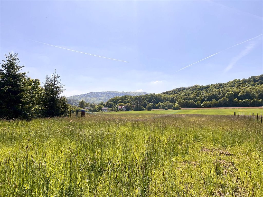 Działka budowlana na sprzedaż Cisownica, Cisownica, Jana Ożany  750m2 Foto 5