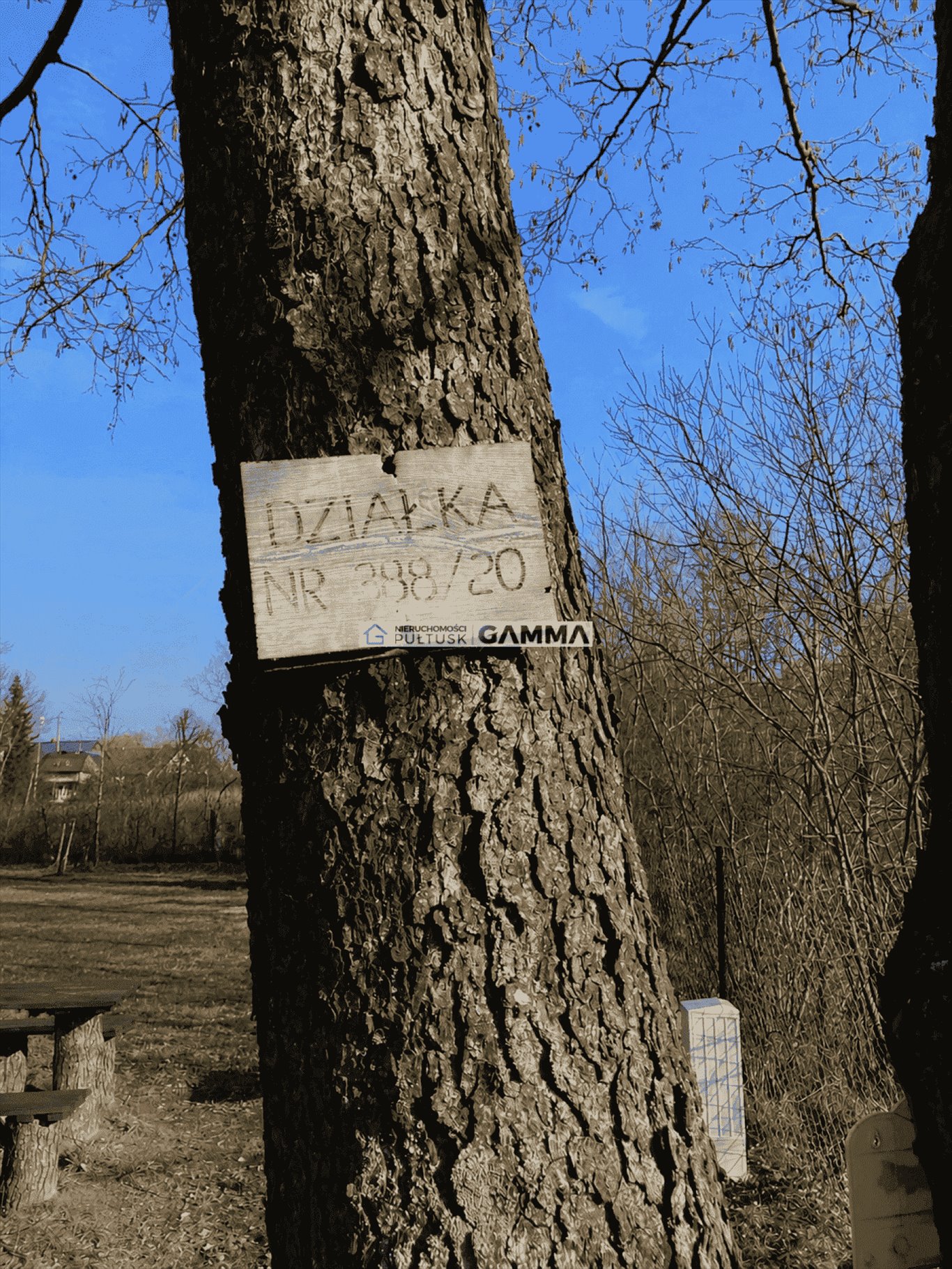 Zdjęcie 8