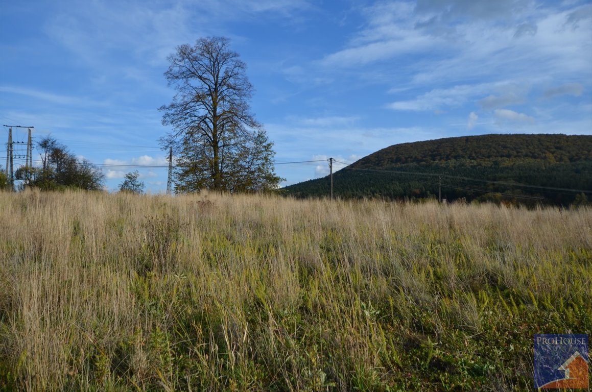 Działka budowlana na sprzedaż Kostrza  5 900m2 Foto 2