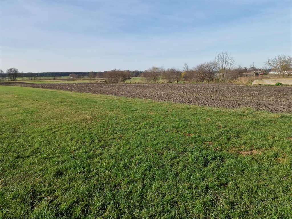 Działka rolna 0,94 ha w Biskupicach, blisko asfaltu Biskupice  9 400m2 Foto 1