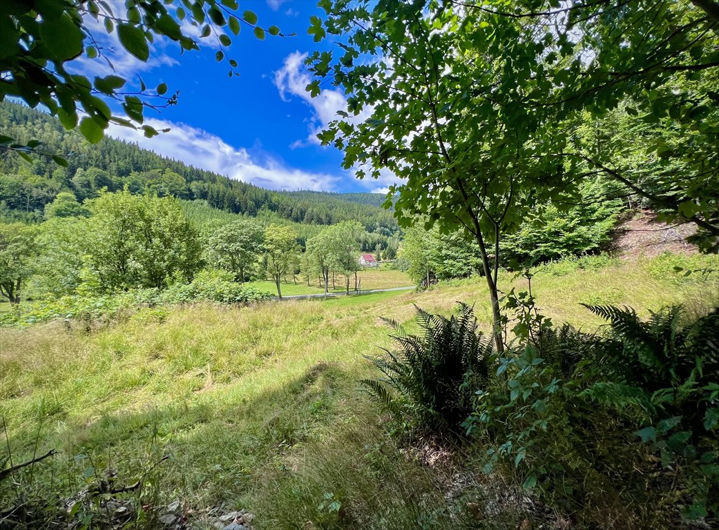 Działka rekreacyjna na sprzedaż Jarkowice  1 600m2 Foto 10