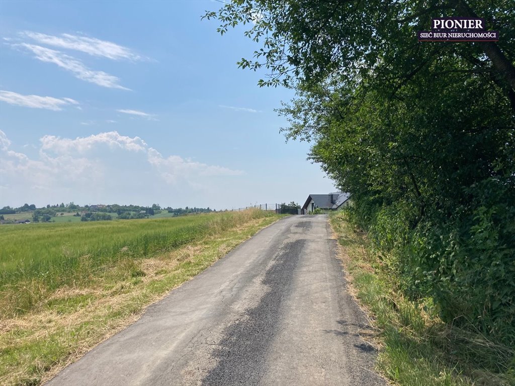 Działka rolna na sprzedaż Zamarski  70 000m2 Foto 3