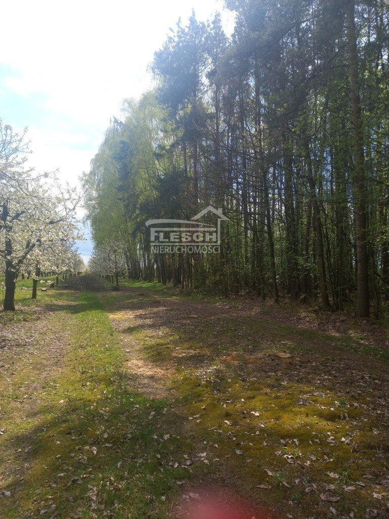 Działka rolna na sprzedaż Załęże Duże  7 300m2 Foto 13