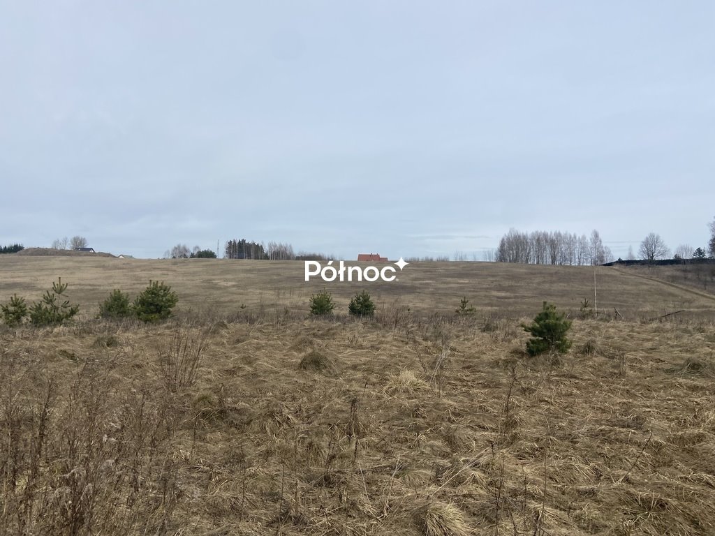 Działka inwestycyjna 30 000 m² przy węźle S16, uzbrojona Wójtowo  30 000m2 Foto 1