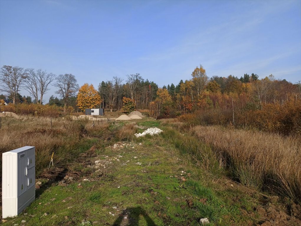 Działka budowlana na sprzedaż Leśniewo, Pucka  2 369m2 Foto 6