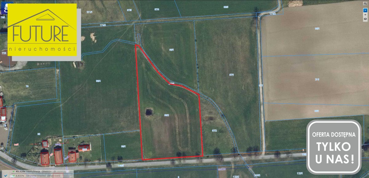 Działka rolna z oczkiem wodnym i widokiem na lasy Kurowo Braniewskie  9 384m2 Foto 1