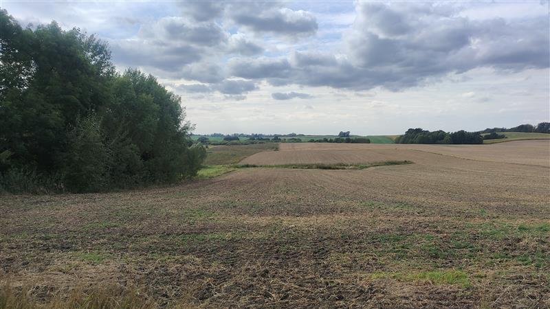 Działka siedliskowa na sprzedaż Lepno, Lepno  3 000m2 Foto 3