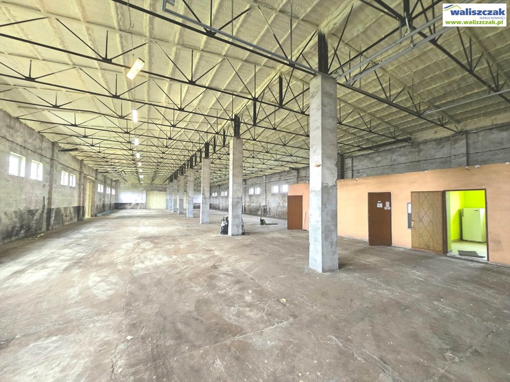 Lokal użytkowy na wynajem Piotrków Trybunalski  808m2 Foto 1