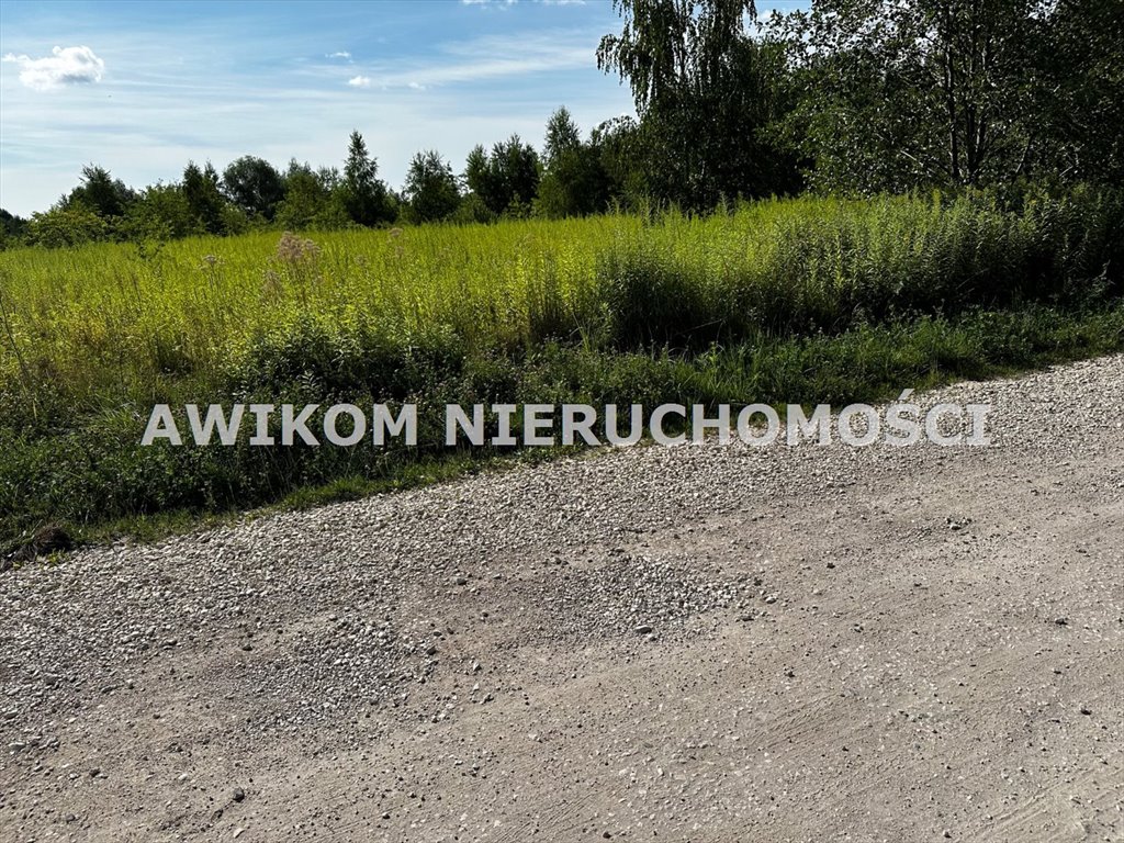 Działka budowlana na sprzedaż Mroków  16 500m2 Foto 6