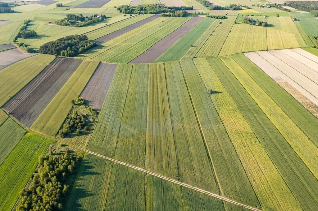 Działka rolna na sprzedaż Błogosławie  10 300m2 Foto 2