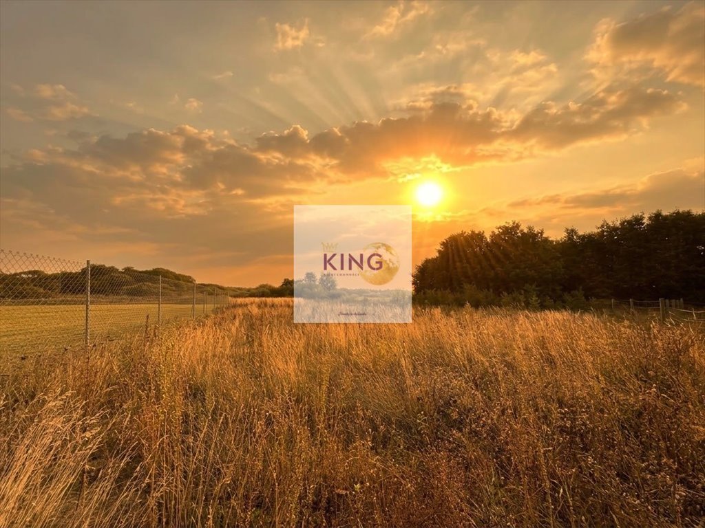 Działka 2141 m² z warunkami zabudowy - Żabnica Gryfino Żabnica  2 141m2 Foto 1