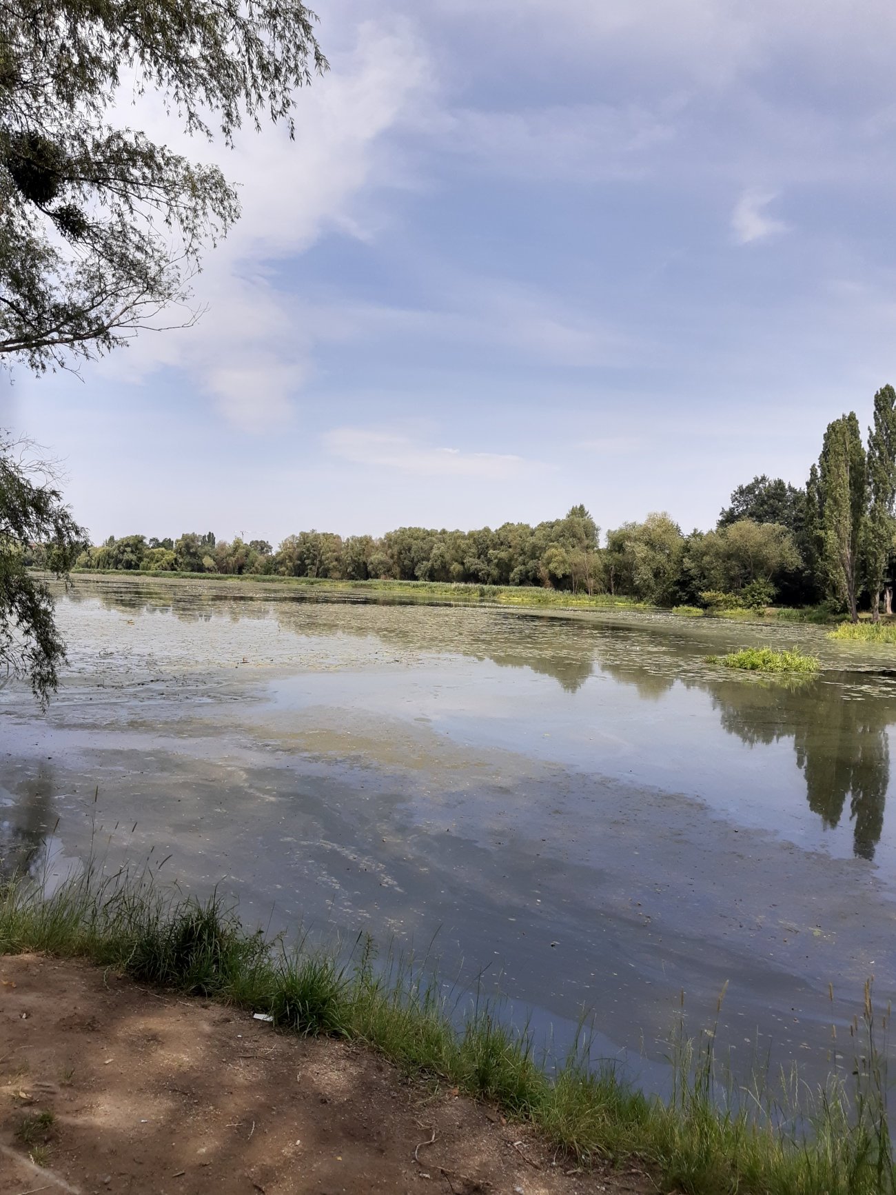 Mieszkanie dwupokojowe na sprzedaż Wrocław, Krzyki, Przedmieście Oławskie  37m2 Foto 14