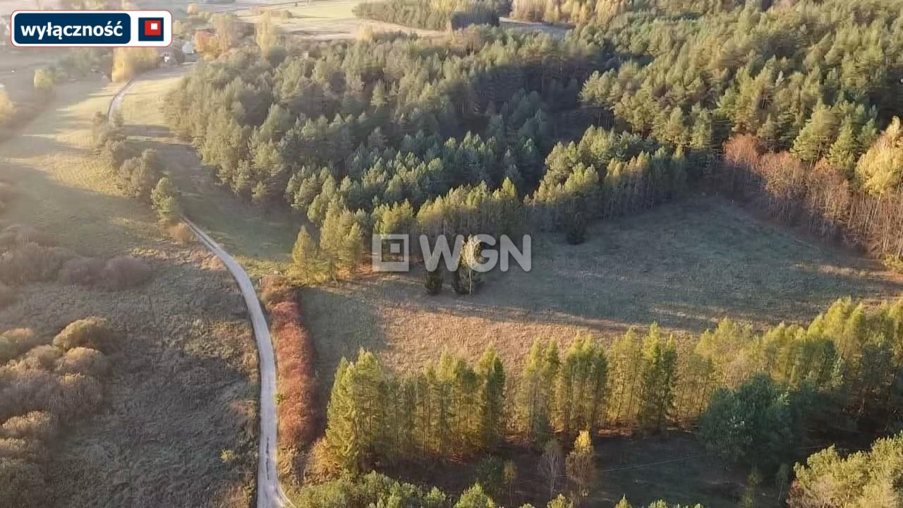 Działka rolna na sprzedaż Kuty  3 009m2 Foto 4