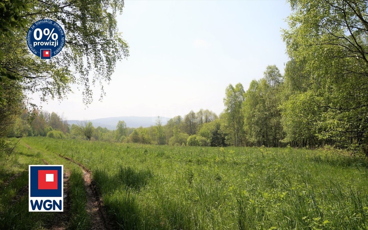 Działka inwestycyjna na sprzedaż Lądek-Zdrój, Lądek-Zdrój, Mickiewicza  40 068m2 Foto 2