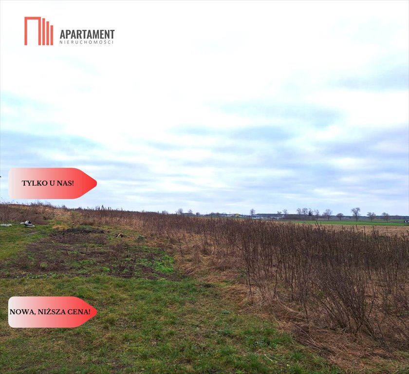 Działka 3213 m² z budynkiem, las, media, Ojrzanowo Ojrzanowo  3 213m2 Foto 1