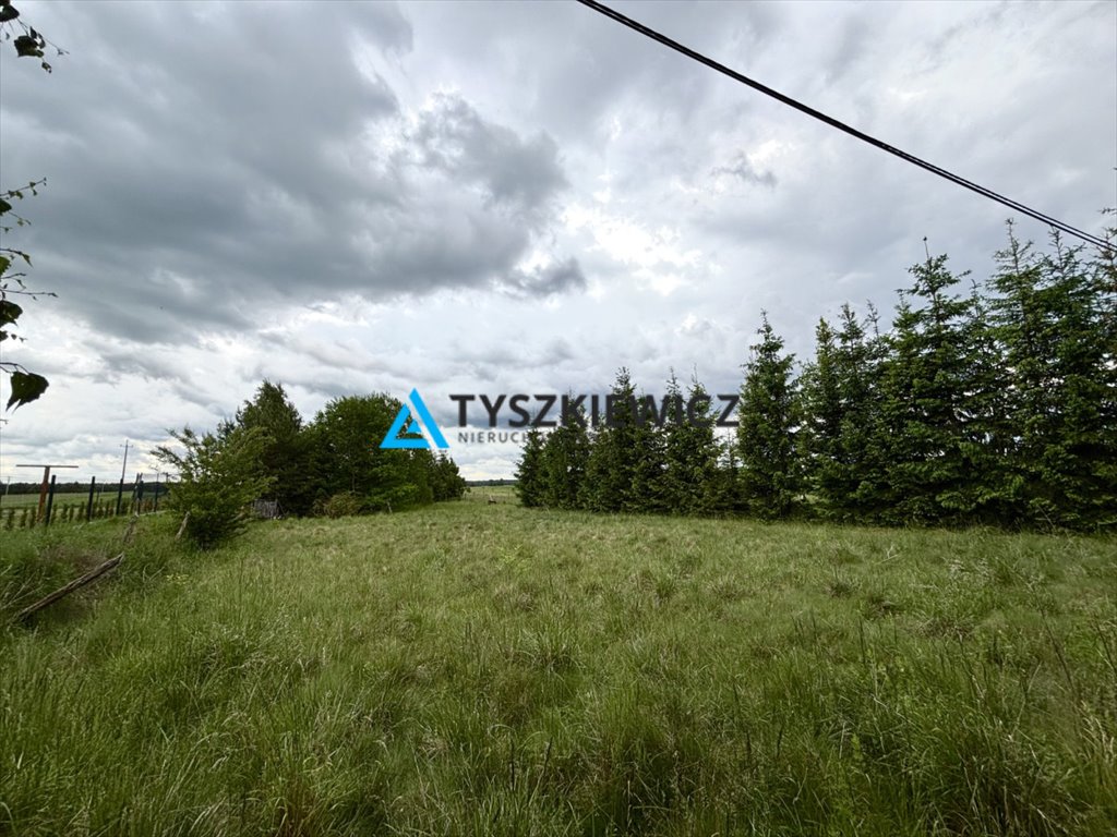 Działka 4300 m² w Osowo Leśne z warunkami zabudowy Osowo Leśne  4 300m2 Foto 1