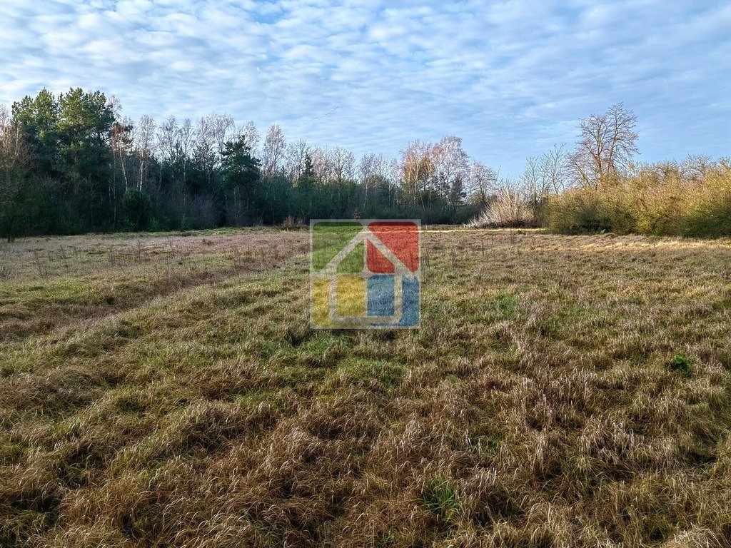 Działka leśna z prawem budowy na sprzedaż Szczawin Kościelny  48 000m2 Foto 2