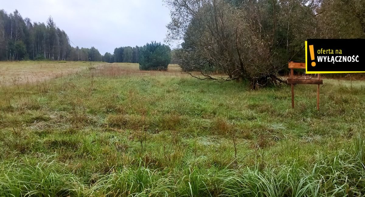 Działka siedliskowa na sprzedaż Wola Malkowska  2 000m2 Foto 3