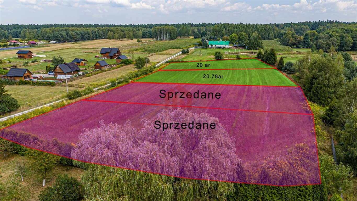 Działka budowlana na sprzedaż Krzywa  2 000m2 Foto 3