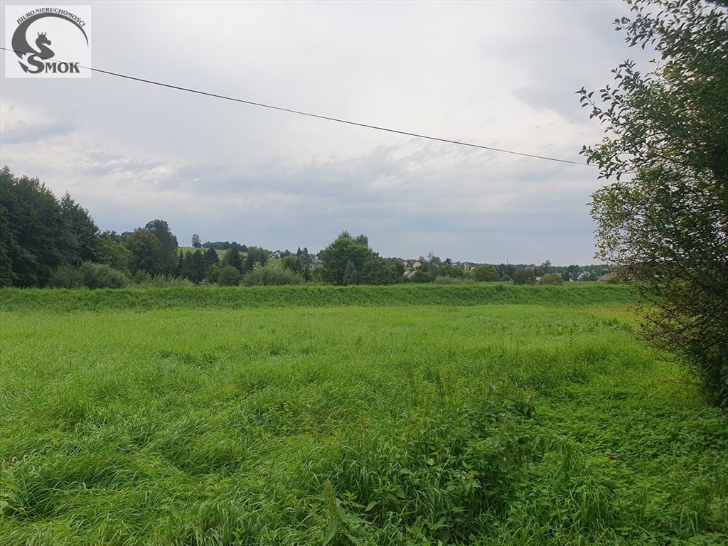 Zapraszam do zakupu działki 58a z mediami i udziałem w drodze Radziszów  5 800m2 Foto 1
