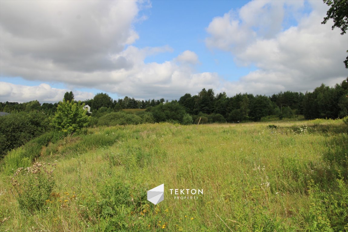 Działka inwestycyjna na sprzedaż Łapino Kartuskie, Jabłoniowa  11 700m2 Foto 1