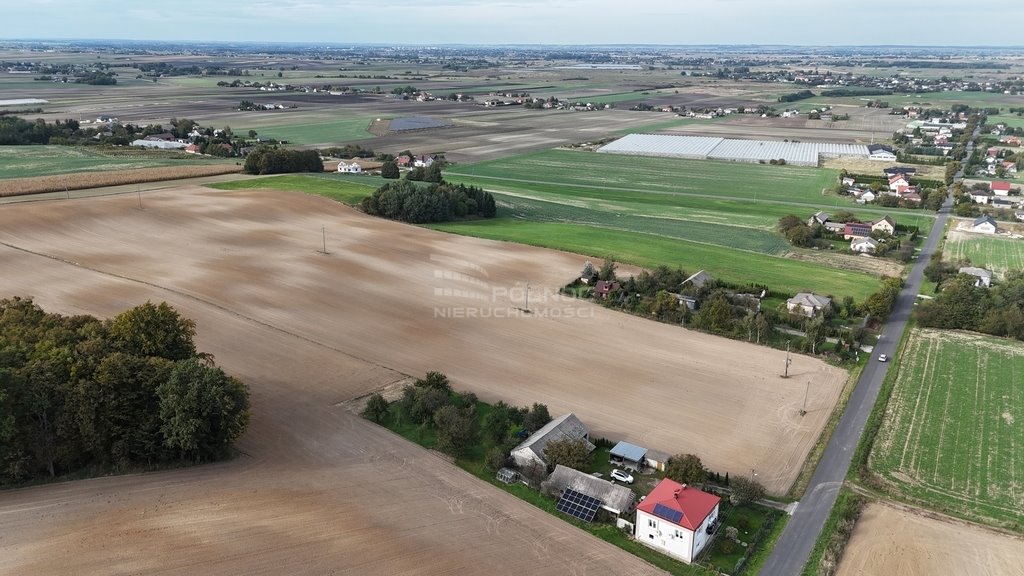 Działka siedliskowa na sprzedaż Łabunie  7 726m2 Foto 5