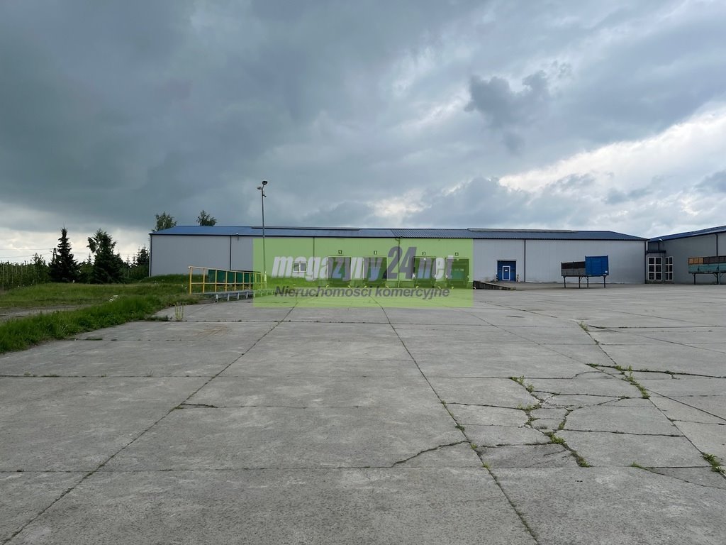 Magazyn na wynajem Grójec  3 400m2 Foto 15