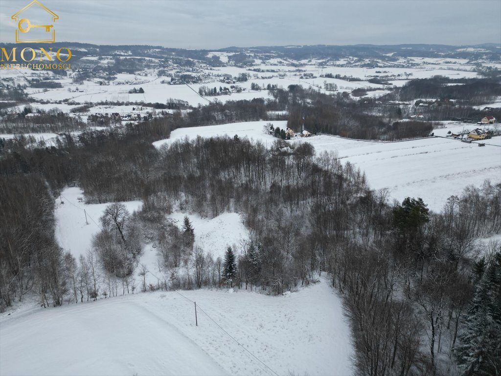 Działka inna na sprzedaż Łowczów  27 000m2 Foto 7