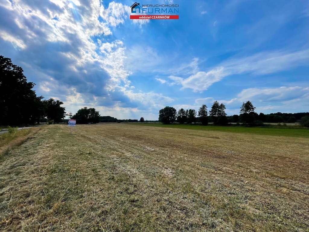 Działka budowlana na sprzedaż Biernatowo  6 721m2 Foto 9