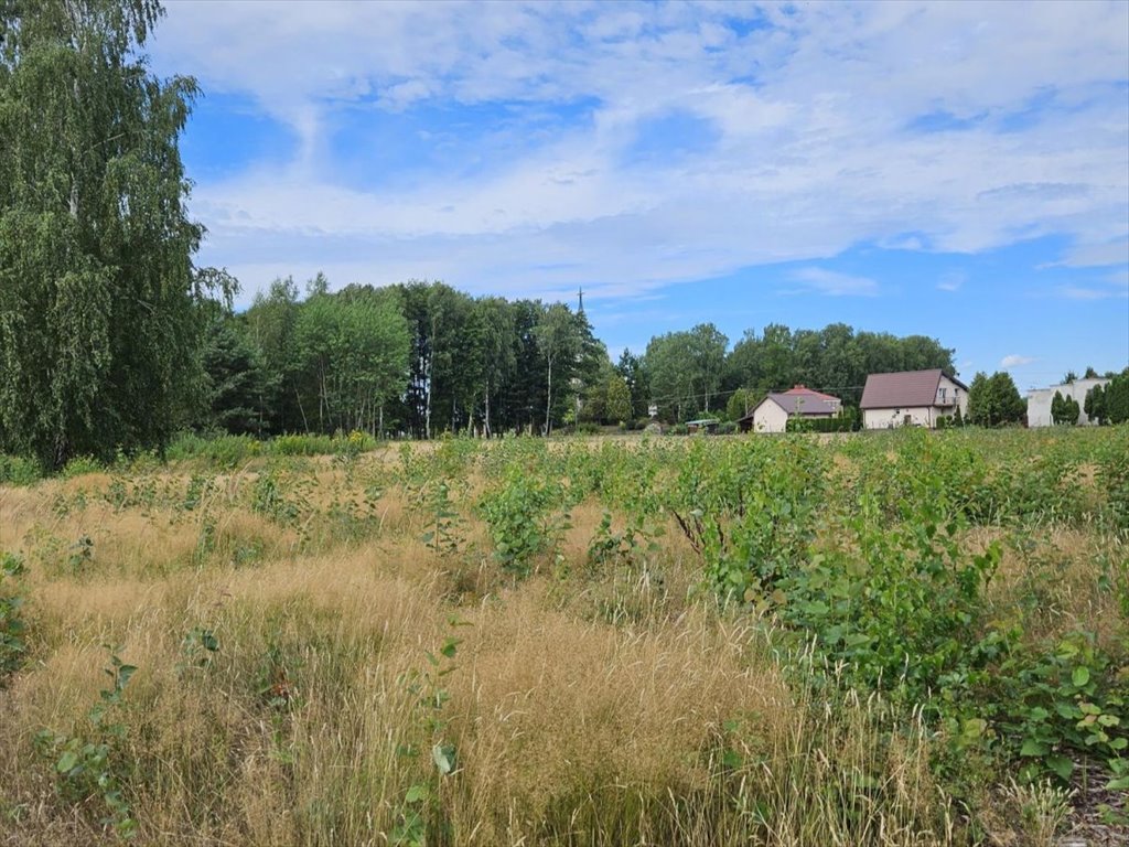 Działka budowlana na sprzedaż Michalczew  3 468m2 Foto 6