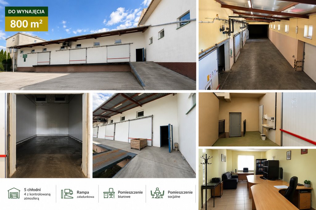 Wynajmę magazyn chłodniczy 800 m² z rampą w Grójcu Grójec  800m2 Foto 1