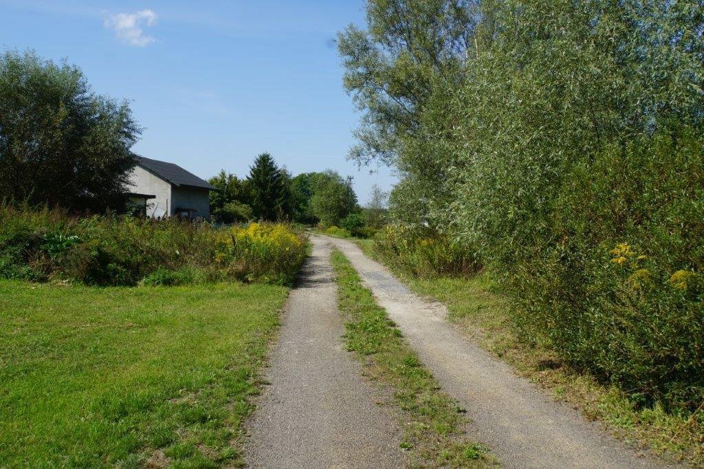 Działka budowlana na sprzedaż Michałów, Gościniec  4 000m2 Foto 4