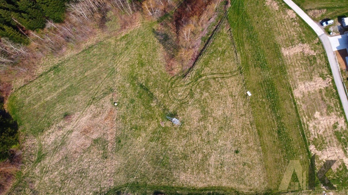 Działka budowlana na sprzedaż Paszyn  6 000m2 Foto 4