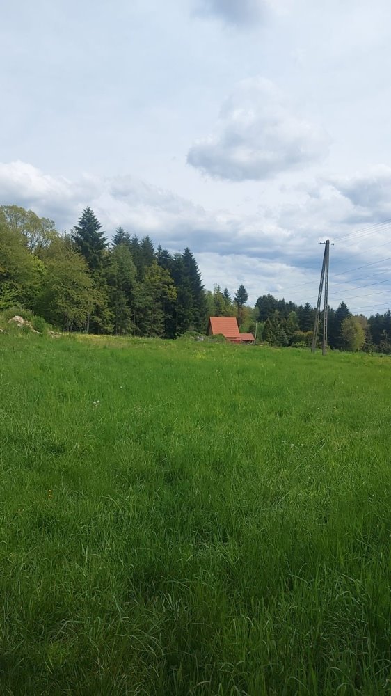 Działka budowlana na sprzedaż Ciężkowice, Ciężkowice, Kąśna Górna  1 000m2 Foto 7