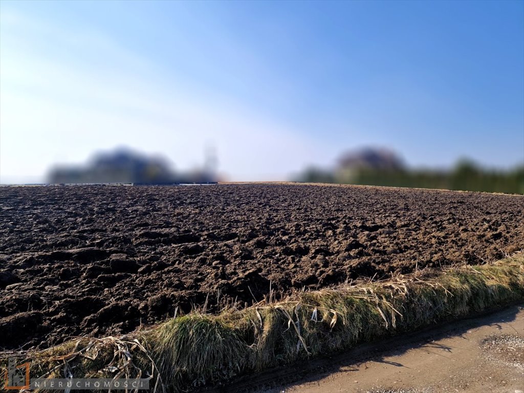 Działka budowlana 1257 m² z dostępem do mediów, spokojna okolica Dojazdów  1 257m2 Foto 1