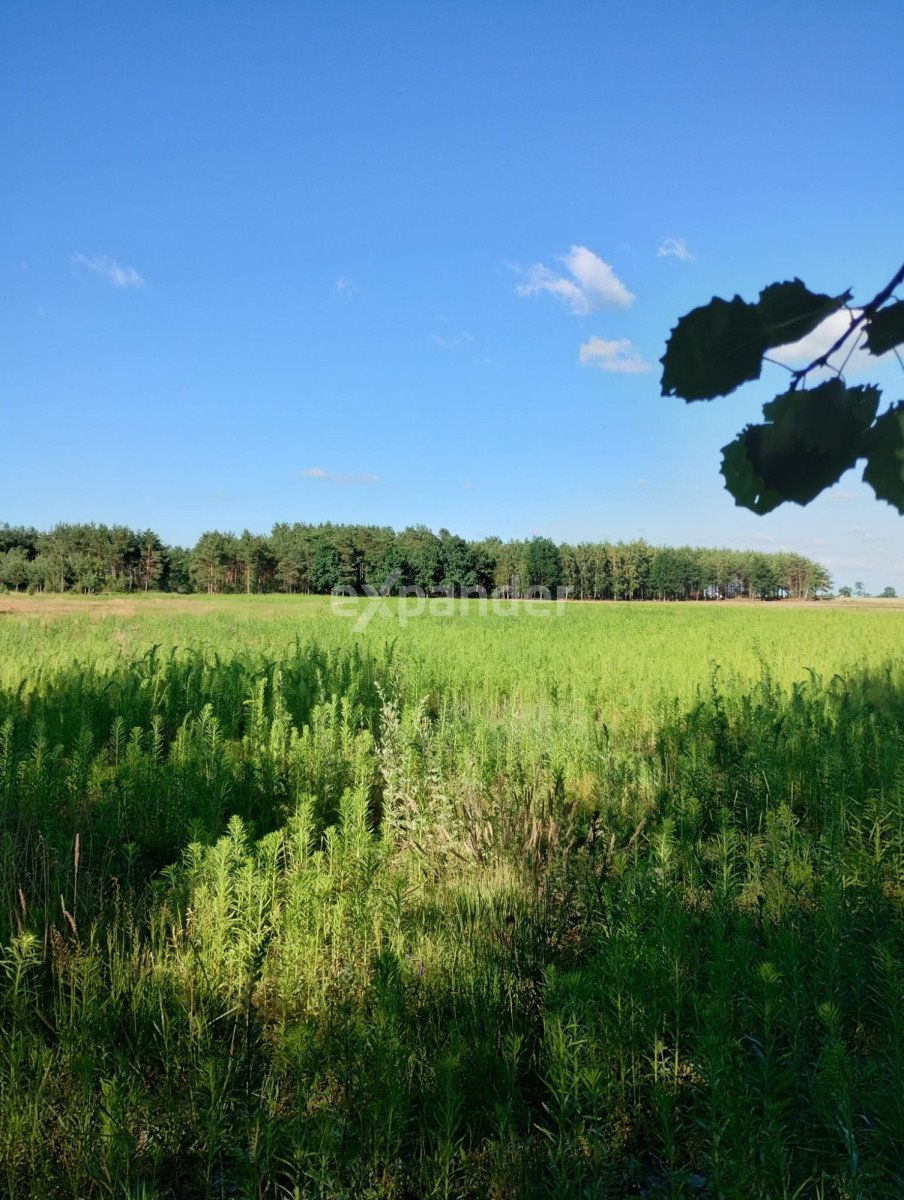 Działka rolna na sprzedaż Blinno  15 000m2 Foto 11