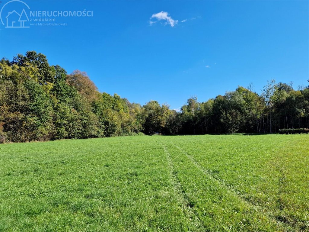 Działka rolna na sprzedaż Strzeszyn  3 900m2 Foto 3