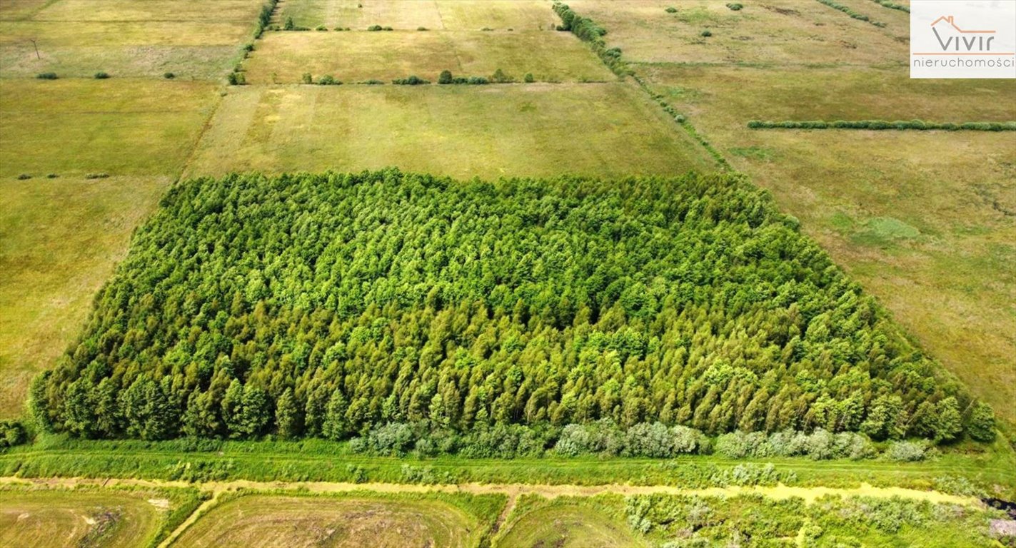 Działka inna na sprzedaż Rzuszcze  30 900m2 Foto 2