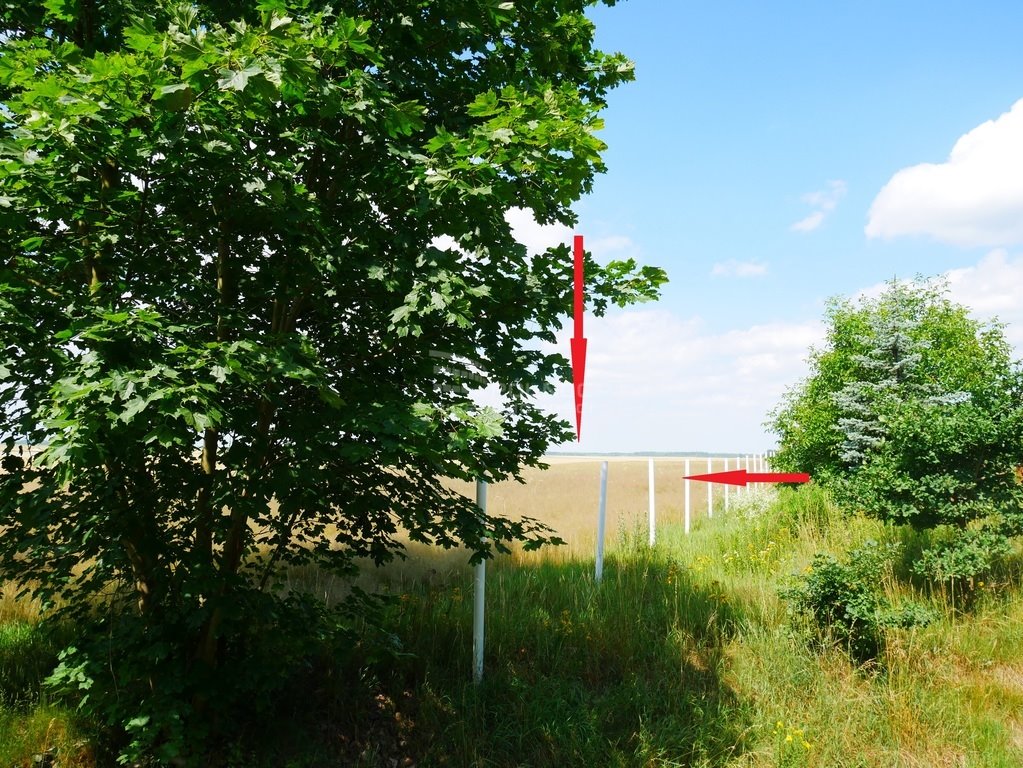 Działka rolna na sprzedaż Zebrzydowa  10 500m2 Foto 4