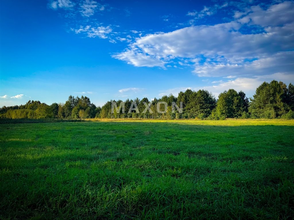 Działka rolna na sprzedaż Kolonia Złotki  14 913m2 Foto 2