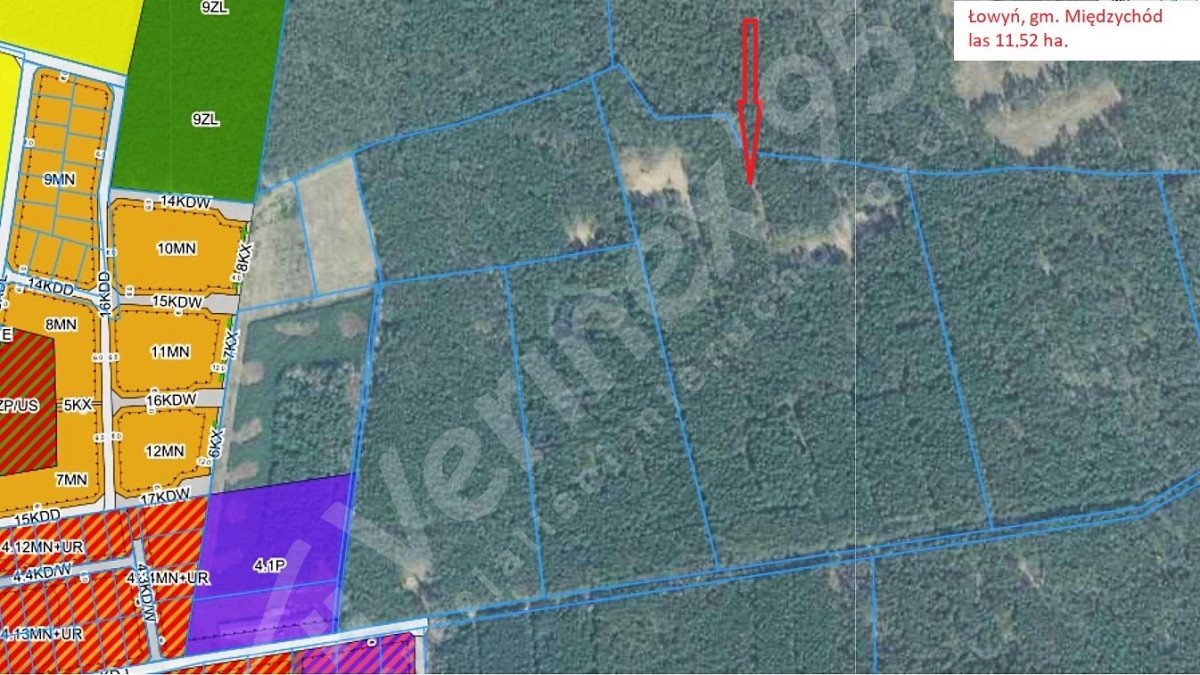 Sprzedam 11,52 ha lasu sosnowego w Łowyniu, idealne pod produkcję Łowyń  115 200m2 Foto 1
