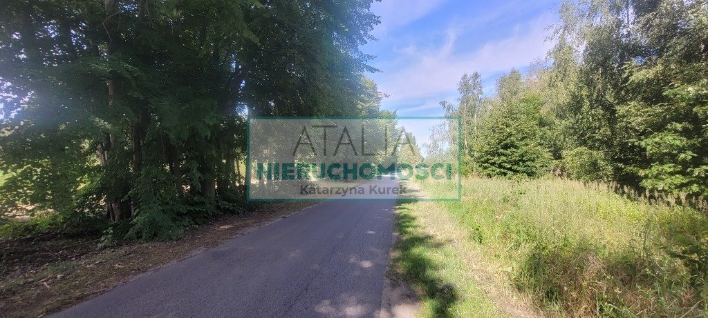 Na sprzedaż działka 3000 m² z warunkami zabudowy w Puszczy Mariańskiej Puszcza Mariańska  3 000m2 Foto 1