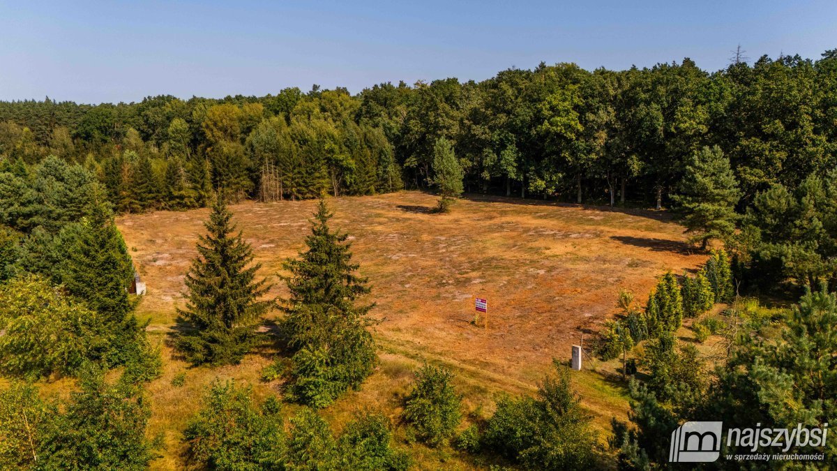 Działka budowlana na sprzedaż Krępsko, Dębowa  1 086m2 Foto 5