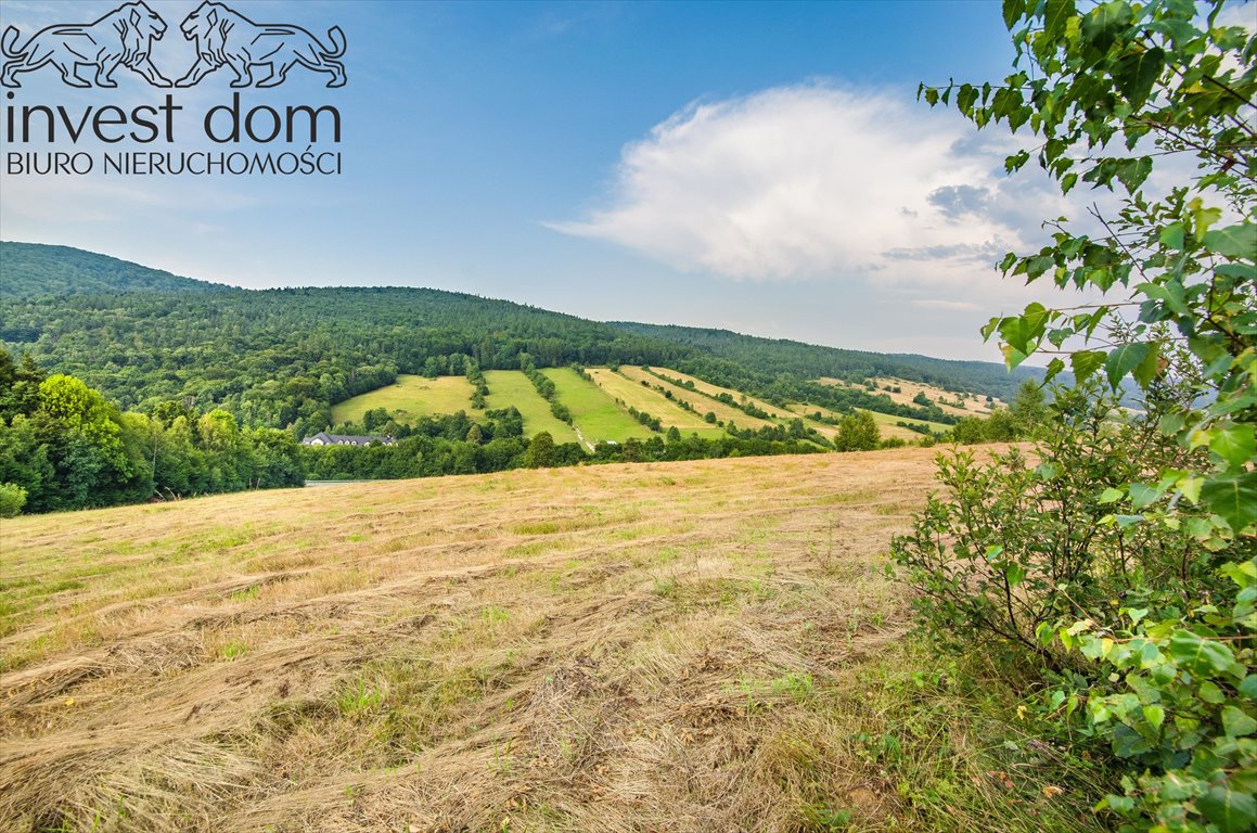 Działka budowlana na sprzedaż Małastów  24 800m2 Foto 9